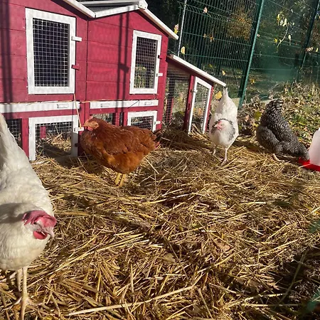 La Ferme Des 2 Oliviers 度假居 *