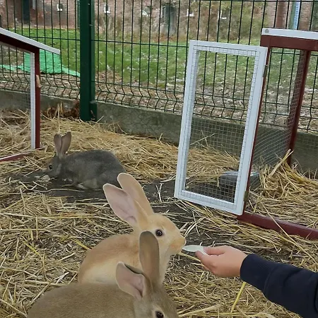 別荘 La Ferme Des 2 Oliviers *