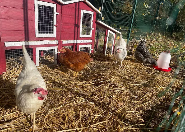 La Ferme Des 2 Oliviers 度假居 *