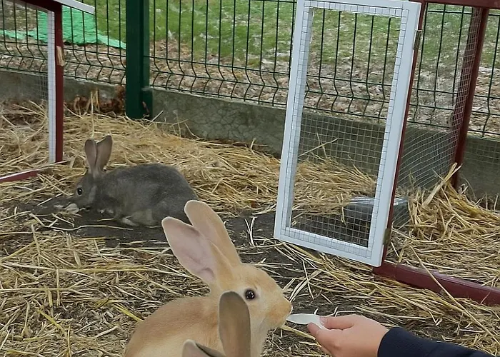 בית נופש La Ferme Des 2 Oliviers *